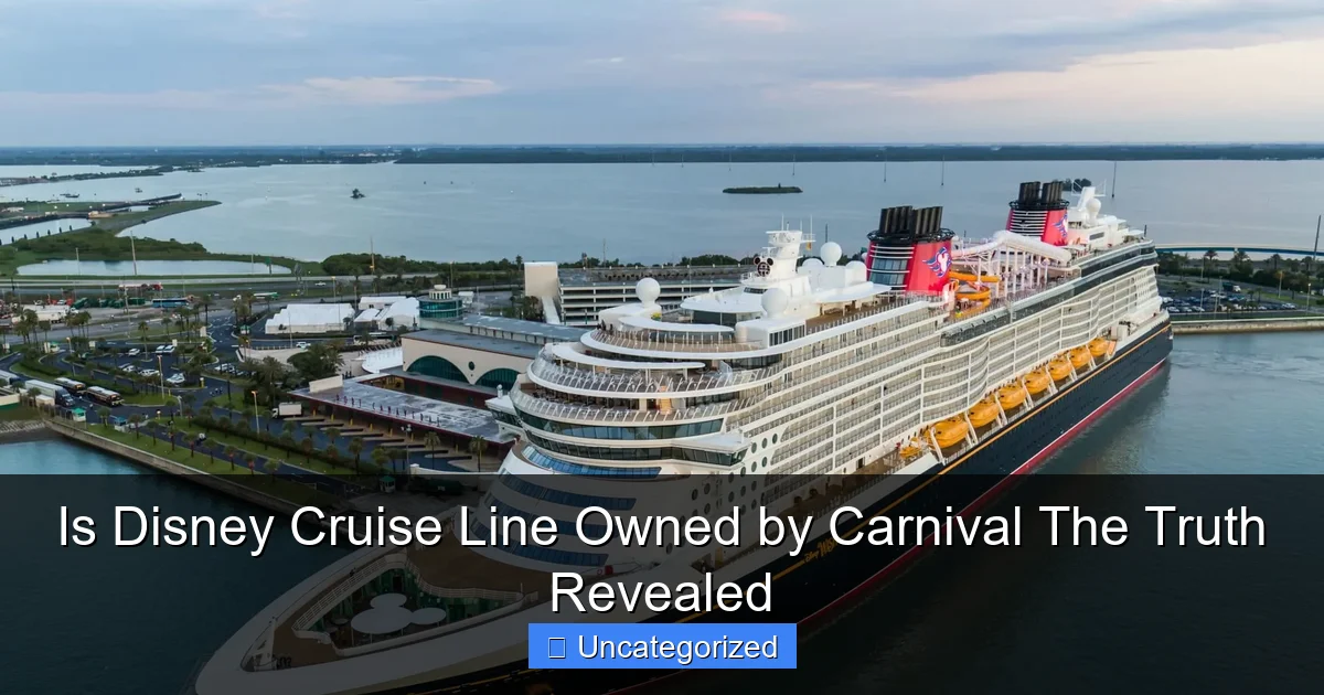 Is Disney Cruise Line Owned by Carnival The Truth Revealed