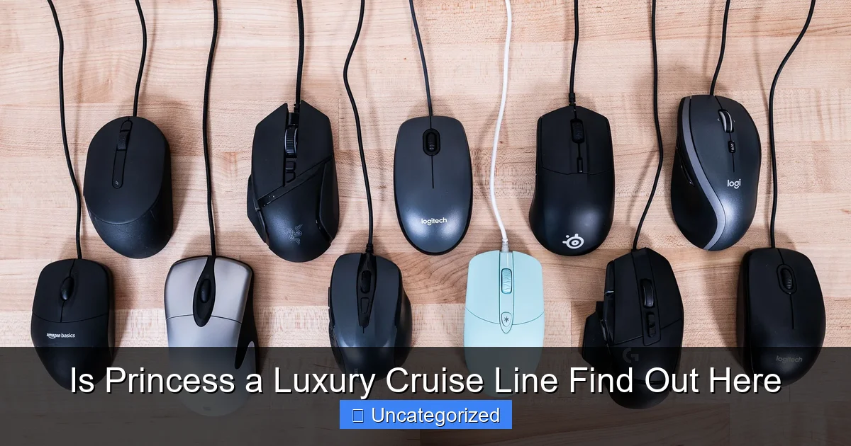Is Princess a Luxury Cruise Line Find Out Here
