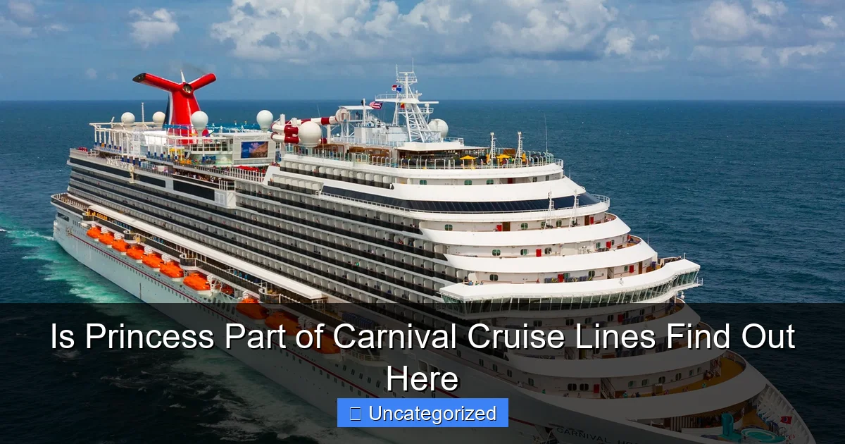 Is Princess Part of Carnival Cruise Lines Find Out Here