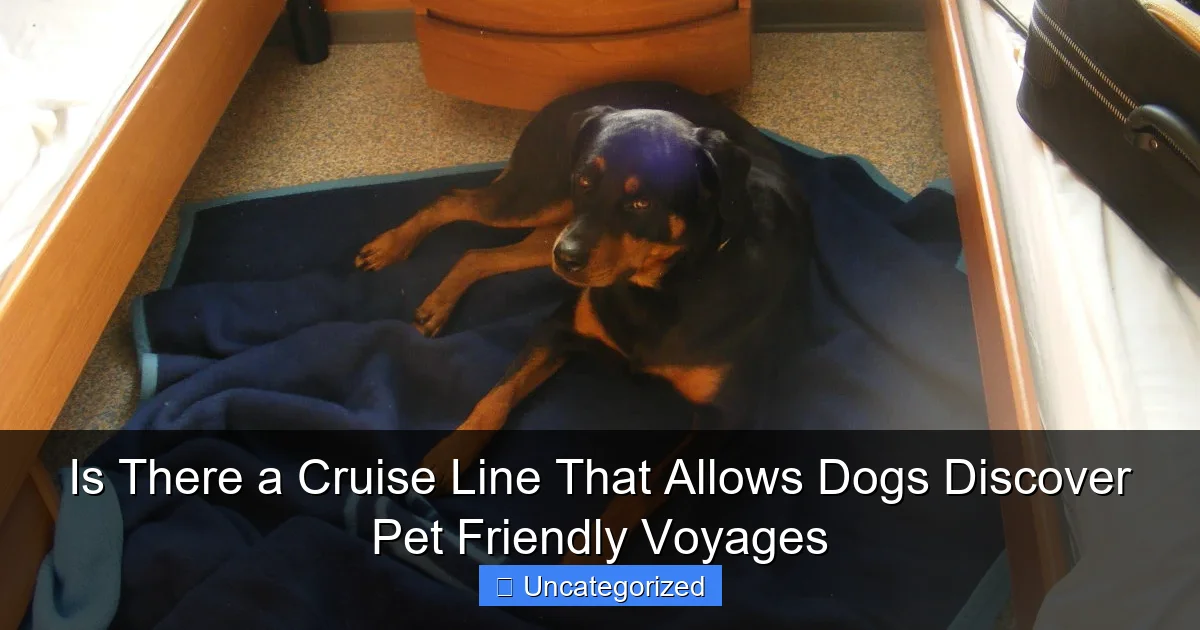 Is There a Cruise Line That Allows Dogs Discover Pet Friendly Voyages