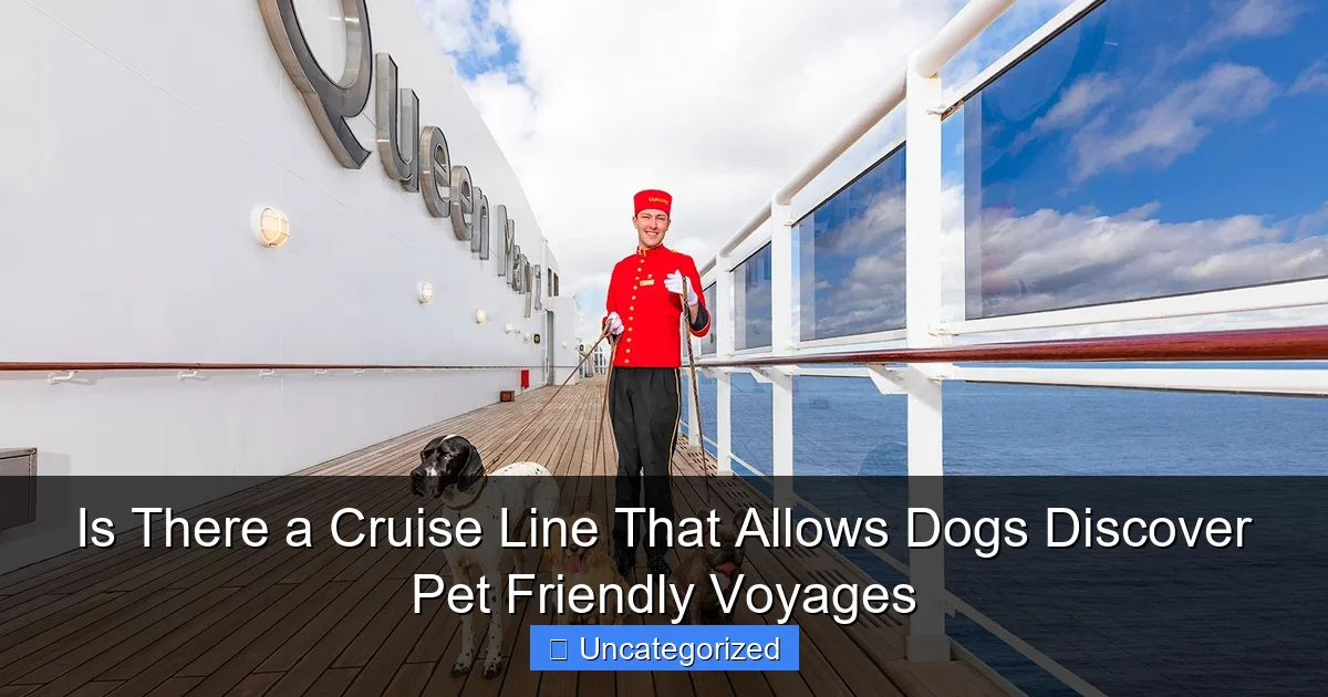 Is There a Cruise Line That Allows Dogs Discover Pet Friendly Voyages