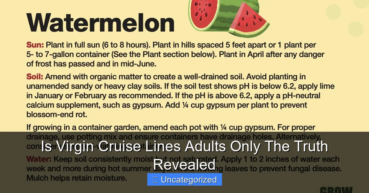 Is Virgin Cruise Lines Adults Only The Truth Revealed