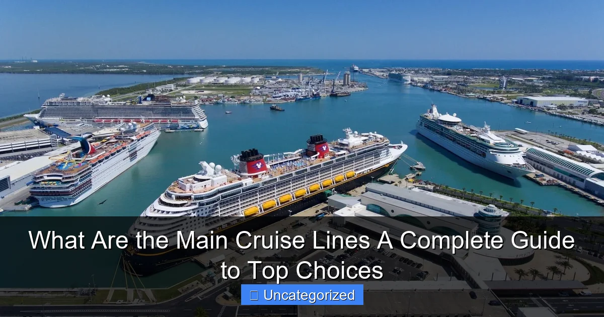 What Are the Main Cruise Lines A Complete Guide to Top Choices