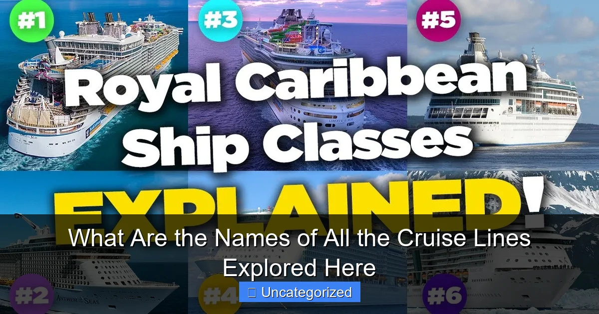 What Are the Names of All the Cruise Lines Explored Here