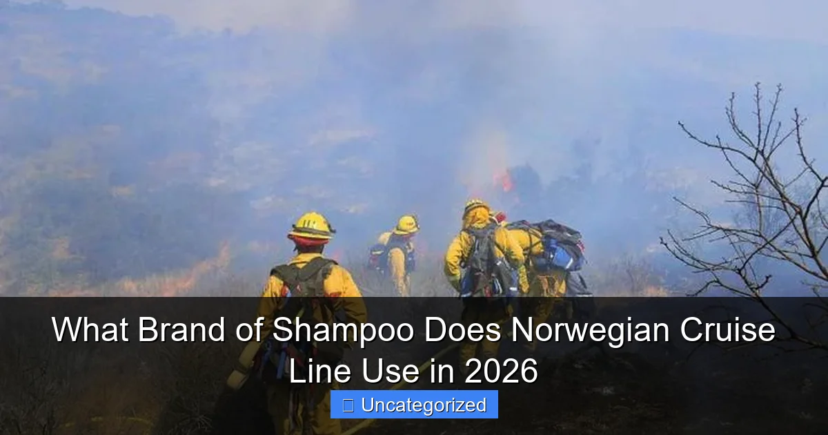 What Brand of Shampoo Does Norwegian Cruise Line Use in 2026