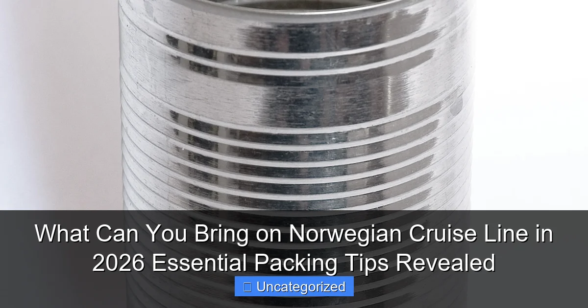 What Can You Bring on Norwegian Cruise Line in 2026 Essential Packing Tips Revealed