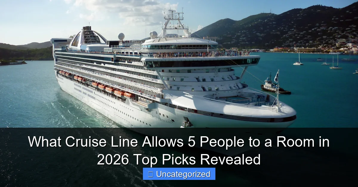 What Cruise Line Allows 5 People to a Room in 2026 Top Picks Revealed