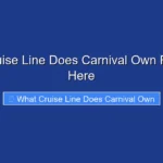 What Cruise Line Does Carnival Own Revealed Here