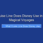 What Cruise Line Does Disney Use in 2026 for Magical Voyages