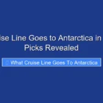 What Cruise Line Goes to Antarctica in 2026 Top Picks Revealed