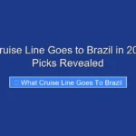 What Cruise Line Goes to Brazil in 2026 Top Picks Revealed