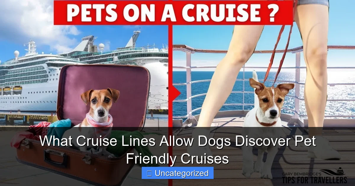 What Cruise Lines Allow Dogs Discover Pet Friendly Cruises