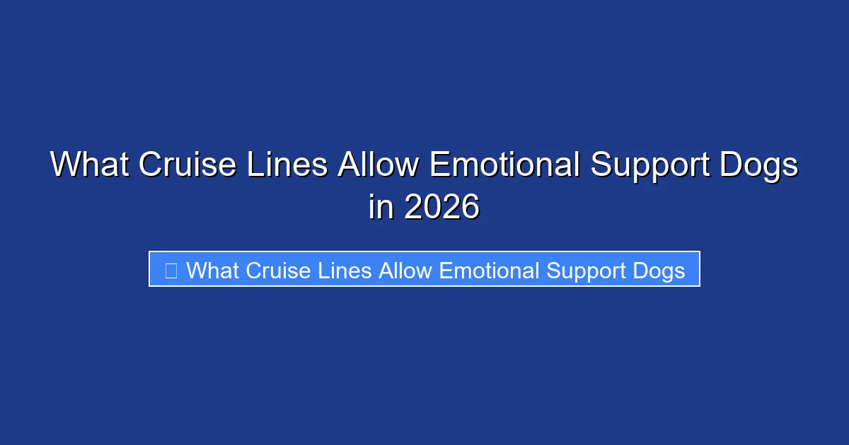 What Cruise Lines Allow Emotional Support Dogs in 2026
