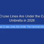 What Cruise Lines Are Under the Carnival Umbrella in 2026