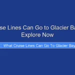 What Cruise Lines Can Go to Glacier Bay in 2026 Explore Now