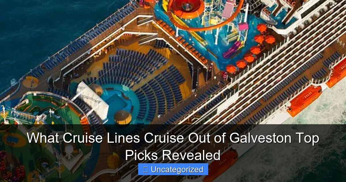 What Cruise Lines Cruise Out of Galveston Top Picks Revealed