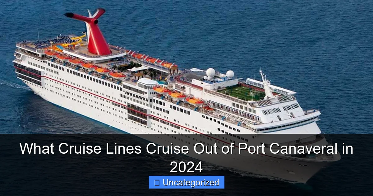 What Cruise Lines Cruise Out of Port Canaveral in 2024