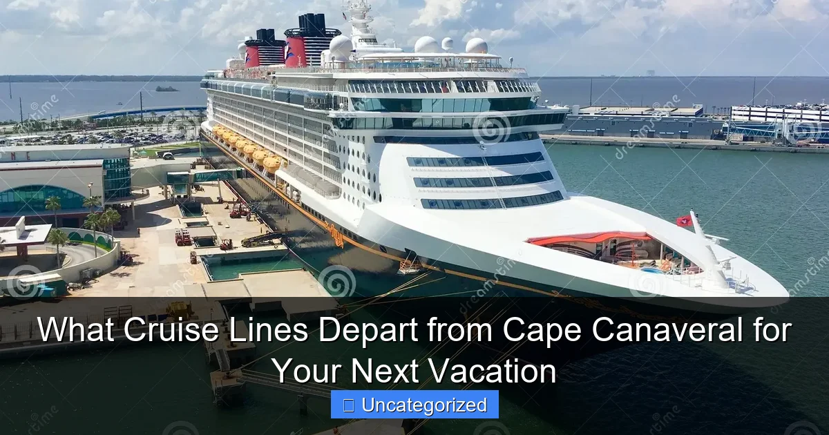 What Cruise Lines Depart from Cape Canaveral for Your Next Vacation