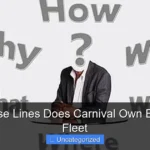What Cruise Lines Does Carnival Own Explore the Fleet