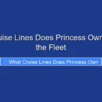 What Cruise Lines Does Princess Own Explore the Fleet