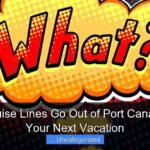 What Cruise Lines Go Out of Port Canaveral for Your Next Vacation