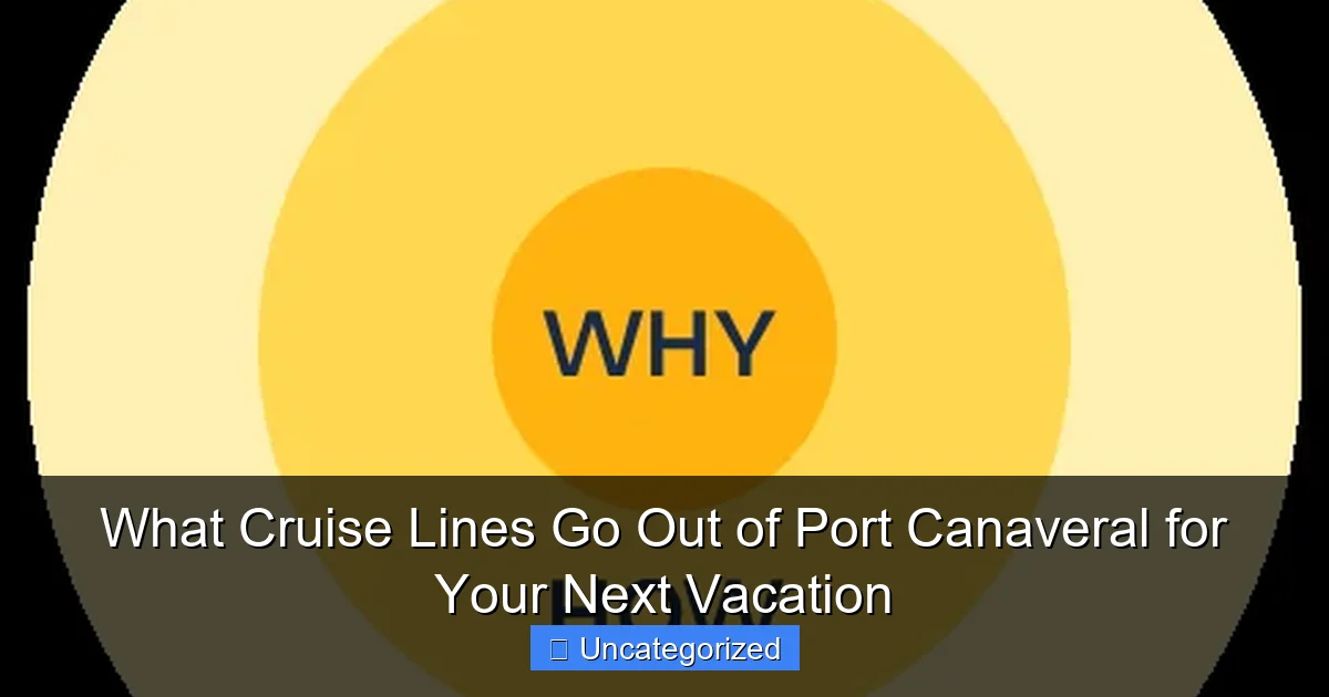 What Cruise Lines Go Out of Port Canaveral for Your Next Vacation