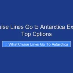 What Cruise Lines Go to Antarctica Explore the Top Options