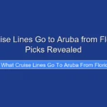 What Cruise Lines Go to Aruba from Florida Top Picks Revealed