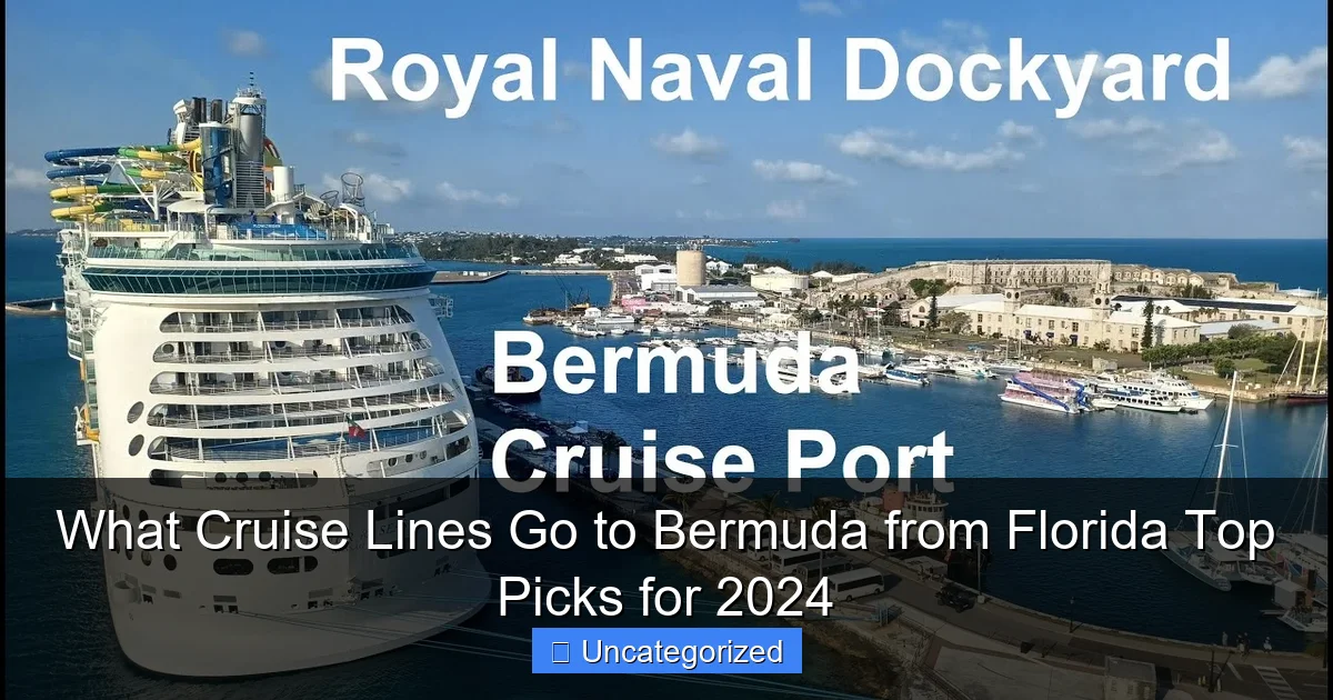 What Cruise Lines Go to Bermuda from Florida Top Picks for 2024