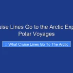 What Cruise Lines Go to the Arctic Explore Top Polar Voyages