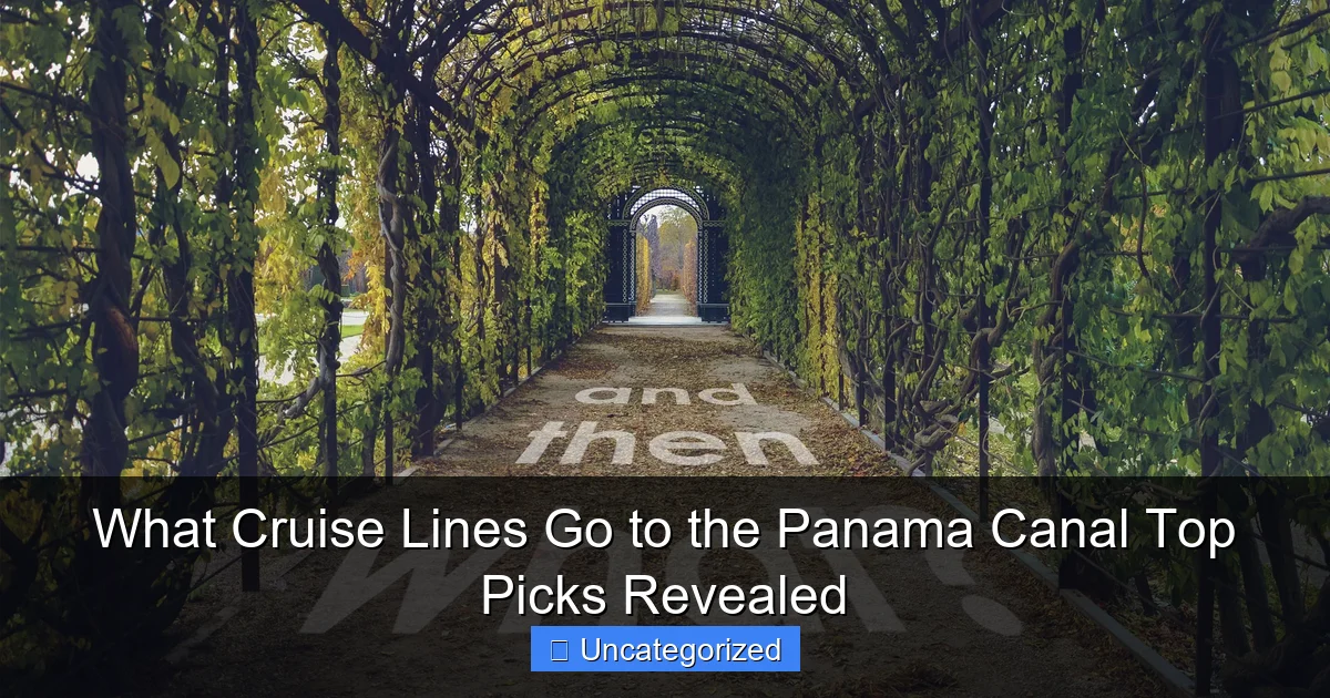 What Cruise Lines Go to the Panama Canal Top Picks Revealed