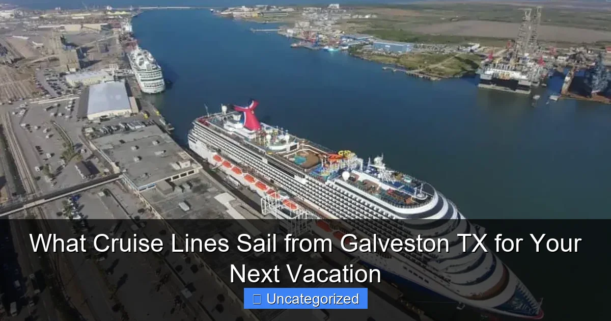 What Cruise Lines Sail from Galveston TX for Your Next Vacation