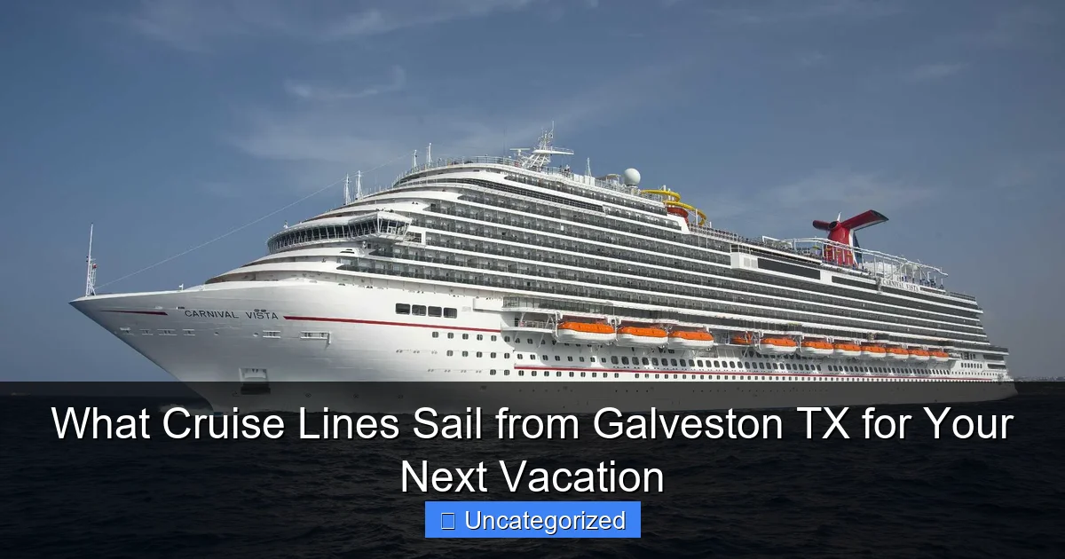 What Cruise Lines Sail from Galveston TX for Your Next Vacation