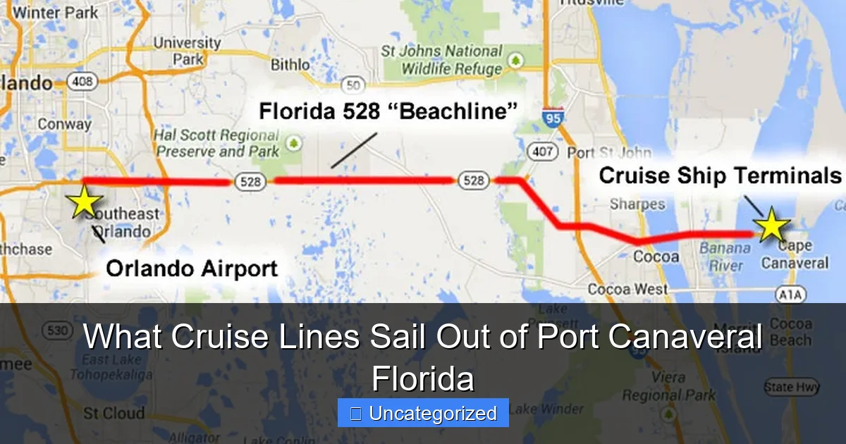 What Cruise Lines Sail Out of Port Canaveral Florida