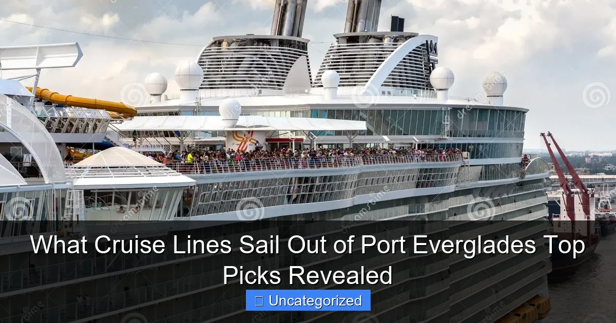 What Cruise Lines Sail Out of Port Everglades Top Picks Revealed