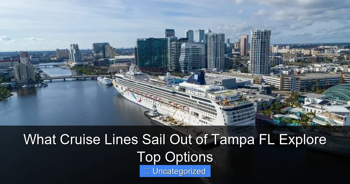 What Cruise Lines Sail Out of Tampa FL Explore Top Options