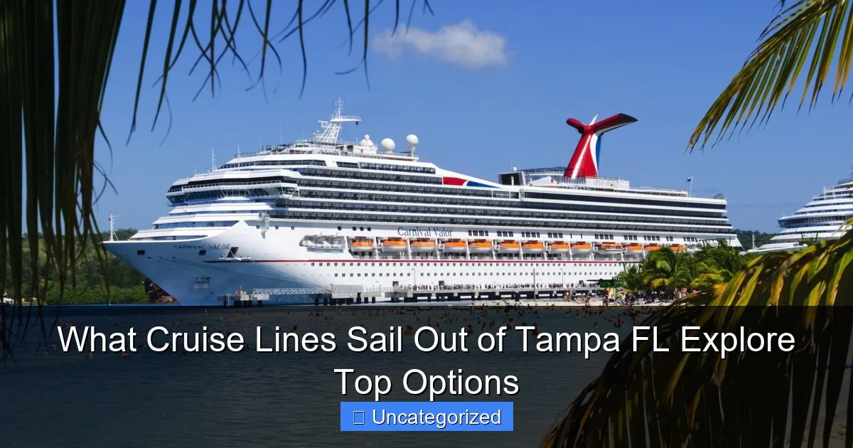 What Cruise Lines Sail Out of Tampa FL Explore Top Options