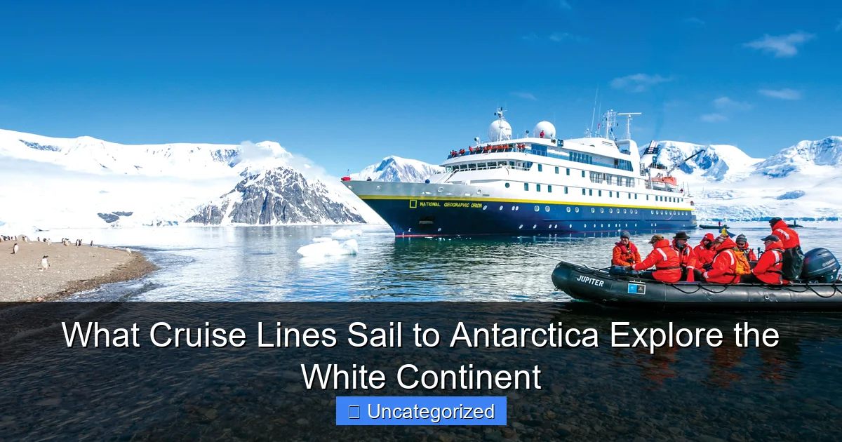 What Cruise Lines Sail to Antarctica Explore the White Continent