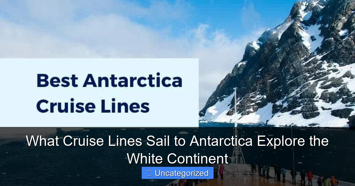 What Cruise Lines Sail to Antarctica Explore the White Continent