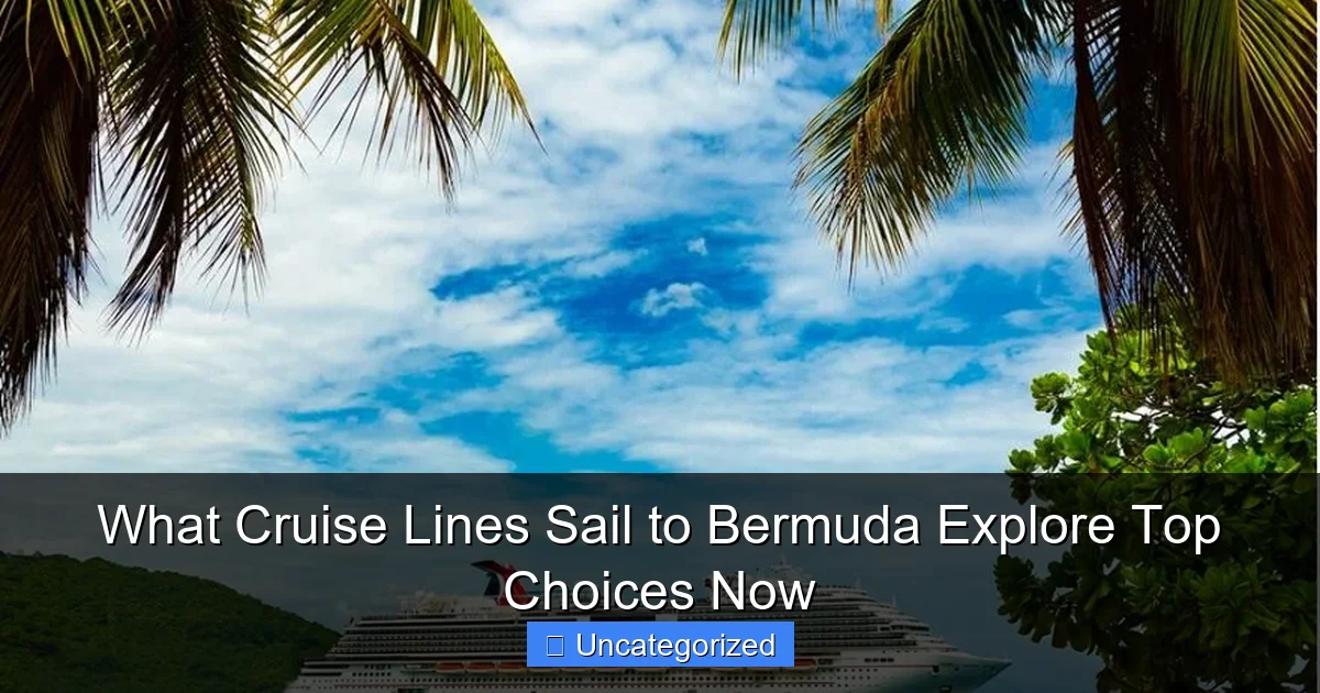 What Cruise Lines Sail to Bermuda Explore Top Choices Now