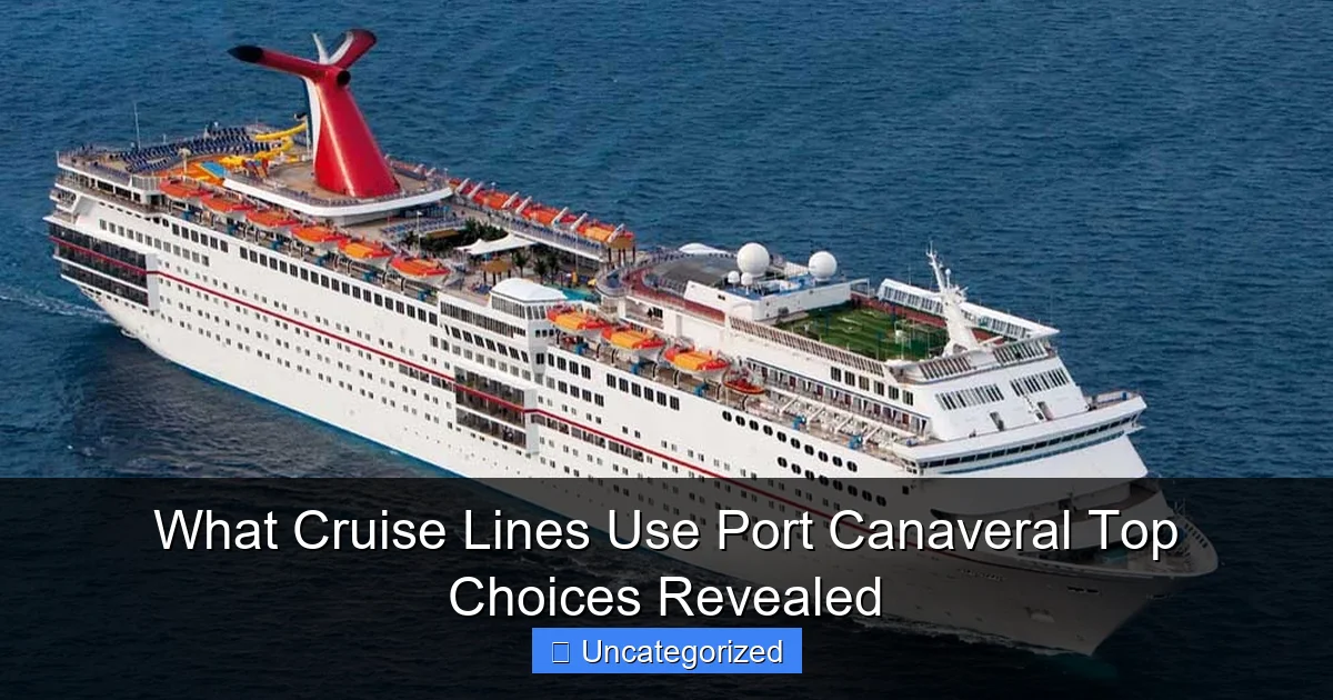 What Cruise Lines Use Port Canaveral Top Choices Revealed