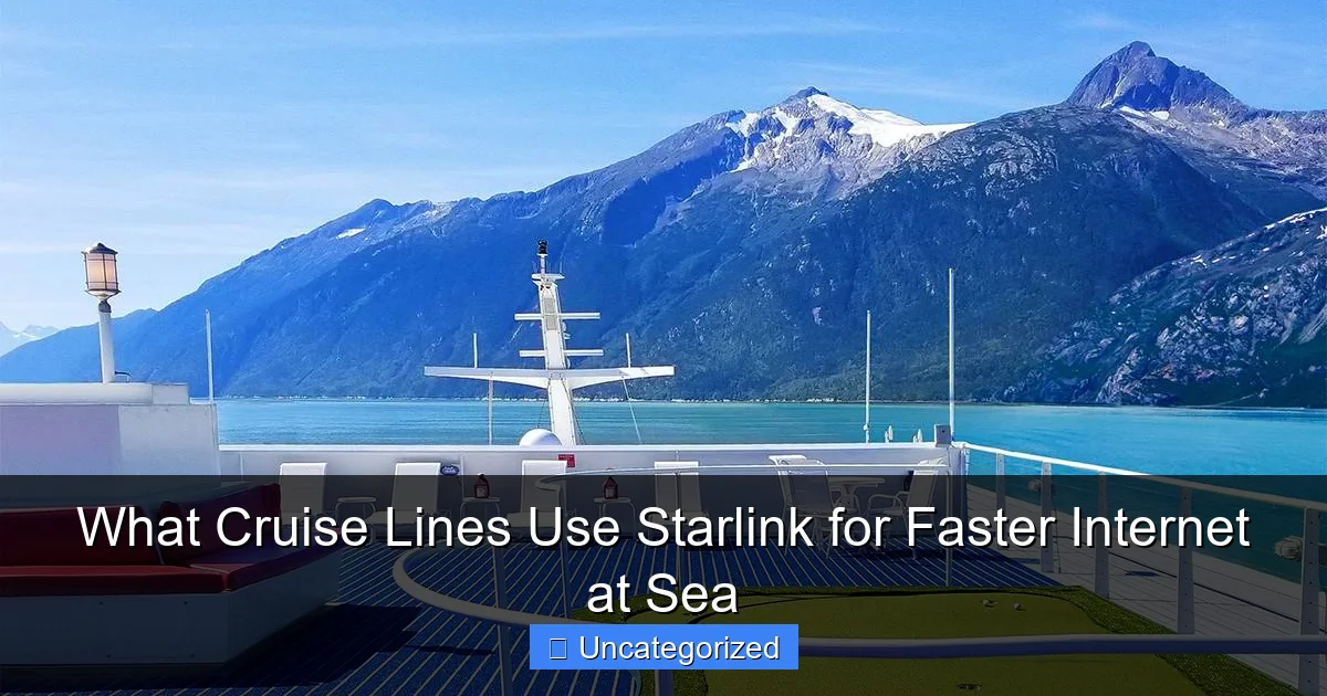 What Cruise Lines Use Starlink for Faster Internet at Sea