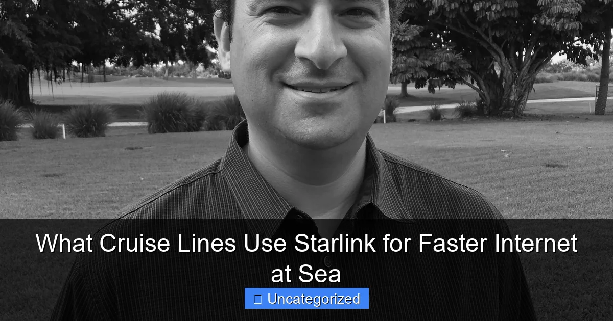 What Cruise Lines Use Starlink for Faster Internet at Sea