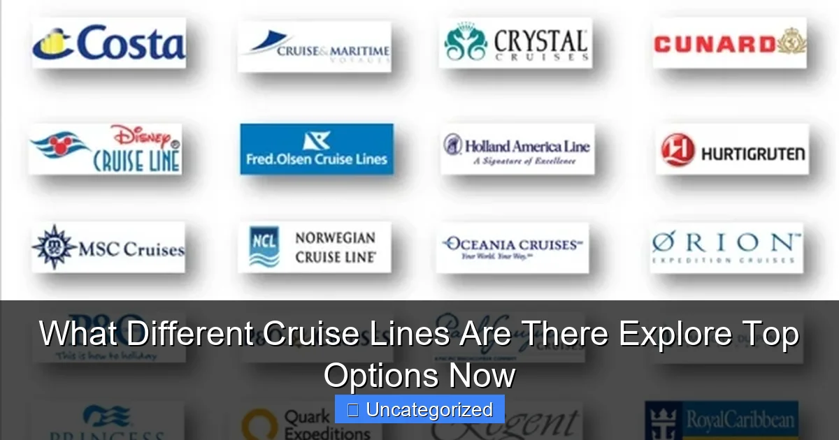 What Different Cruise Lines Are There Explore Top Options Now