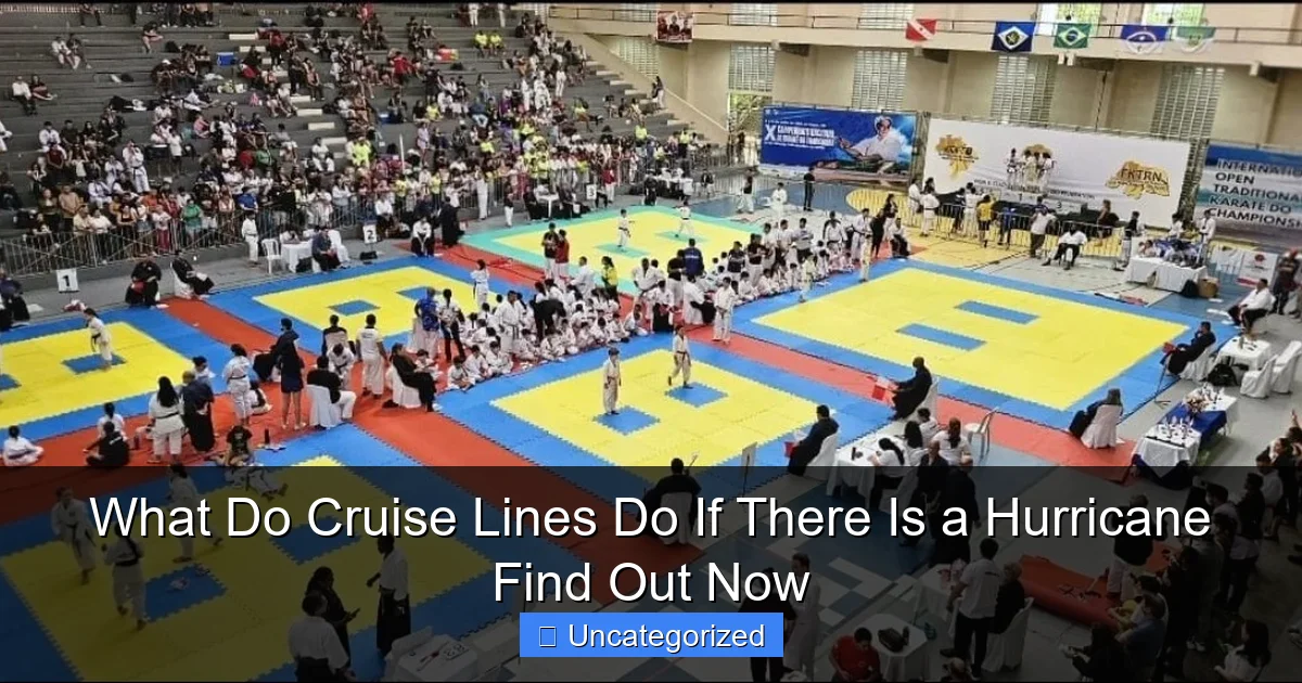 What Do Cruise Lines Do If There Is a Hurricane Find Out Now