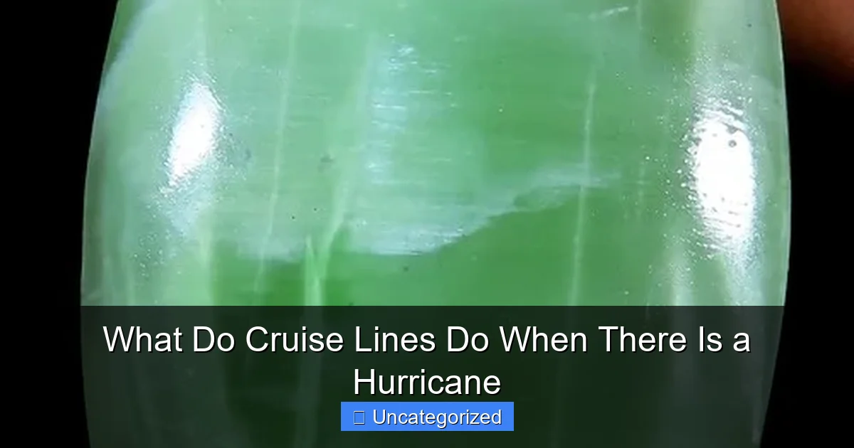 What Do Cruise Lines Do When There Is a Hurricane