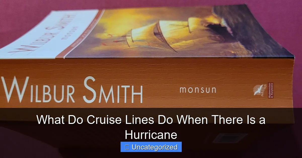 What Do Cruise Lines Do When There Is a Hurricane