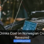 What Do Drinks Cost on Norwegian Cruise Lines Revealed