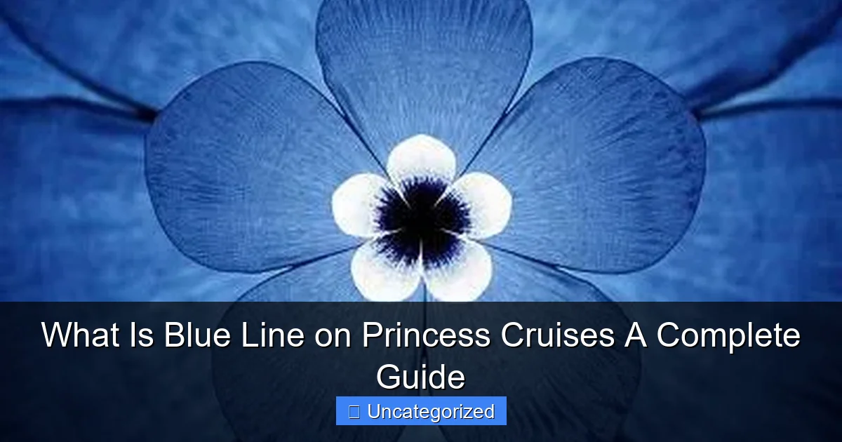 What Is Blue Line on Princess Cruises A Complete Guide