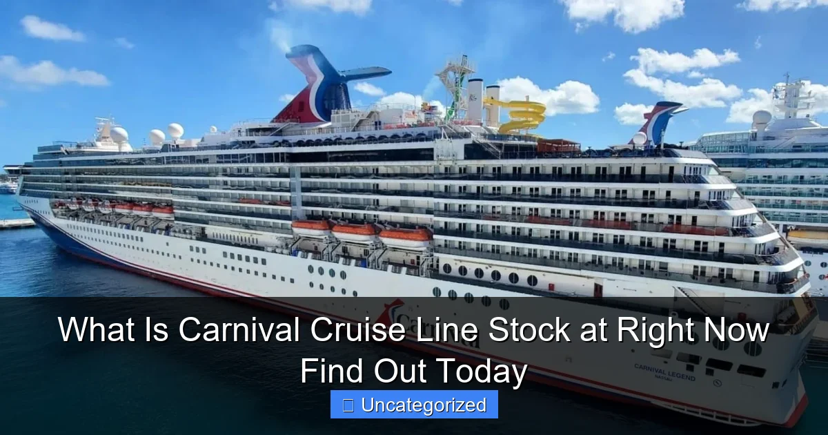 What Is Carnival Cruise Line Stock at Right Now Find Out Today